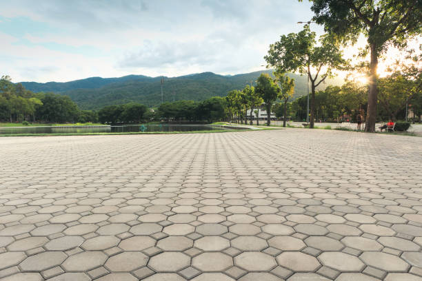 Best Custom Driveway Pavers  in Allegan, MI
