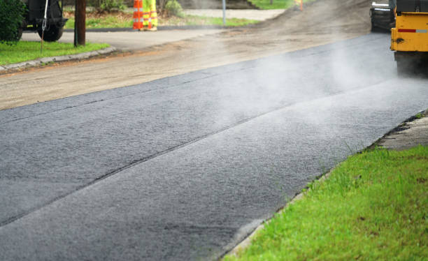 Best Residential Paver Driveway  in Allegan, MI